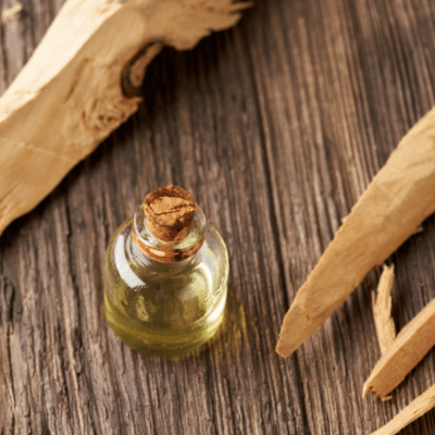 September Fall Essences to Ground and Calm